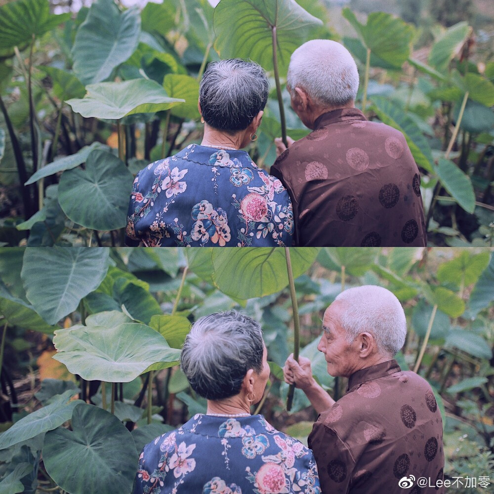 “我能想到最浪漫的事，就是和你一起慢慢变老。
-我： “我们拍一组照片吧”
-外公外婆：“哎呀，不拍不拍”
于是一转身的时间，外婆去洗头发了，外公去换衣服了。哈哈哈真的好可爱。这次算是”蓄谋已久”，但本没打算今天拍的，又算是临时起意。准备不充分，但意外地可爱。
摄影@Lee不加零