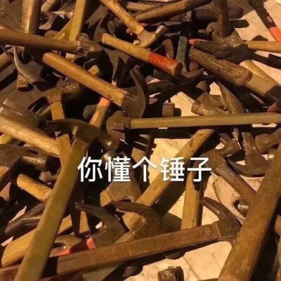 表情包f太可爱啦