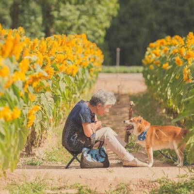 画面好温暖