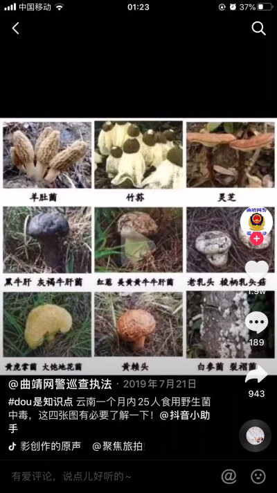 毒蘑菇