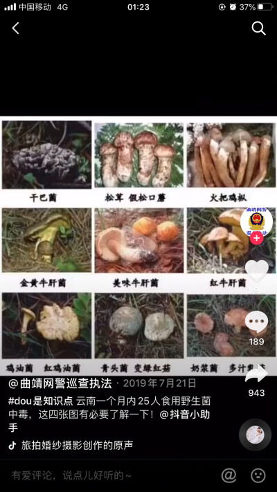 毒蘑菇