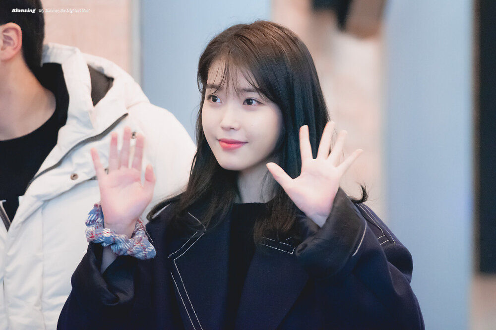 cr.iu_Bluewing