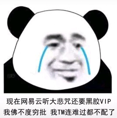 现在网易云听大悲咒还要黑胶VIP
我佛不度穷批
我tm连难过都不配了