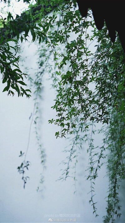 摄影，微风吹淡的蓝
甘熙故居｜急雨洗却浮尘色，夏木阴阴正可人