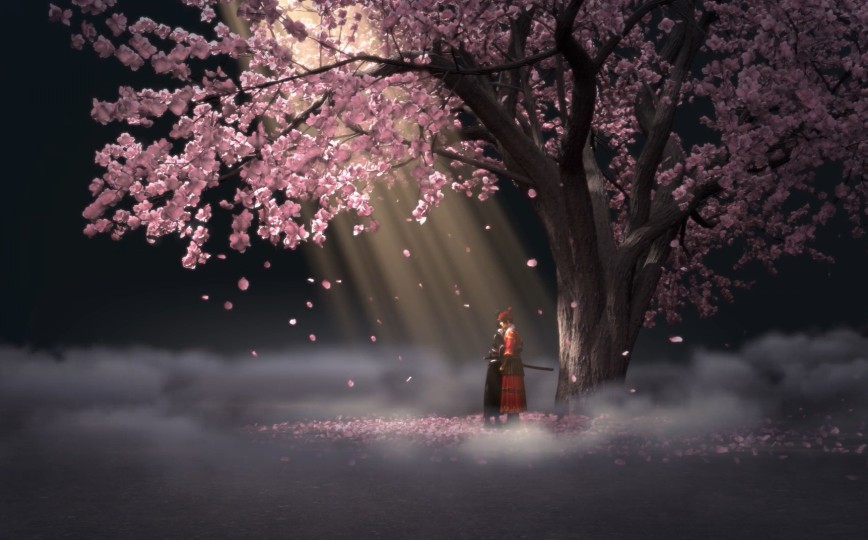 《少年锦衣卫》