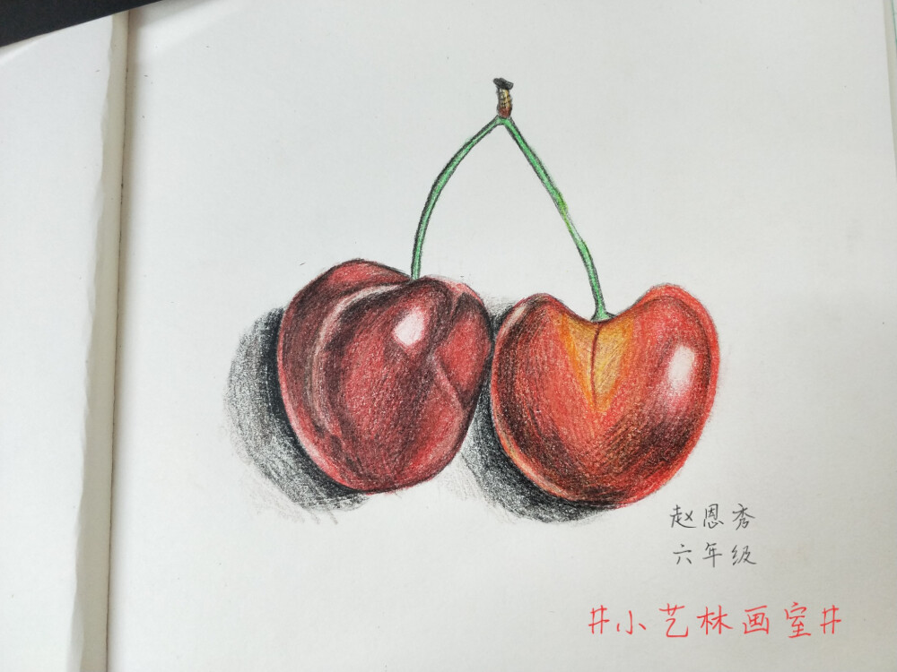 彩铅画水果静物