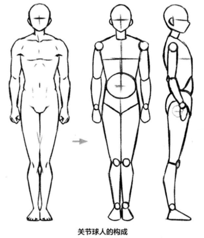 火柴人模型/基础人体/初学者
图源于微信Touchmake公众号