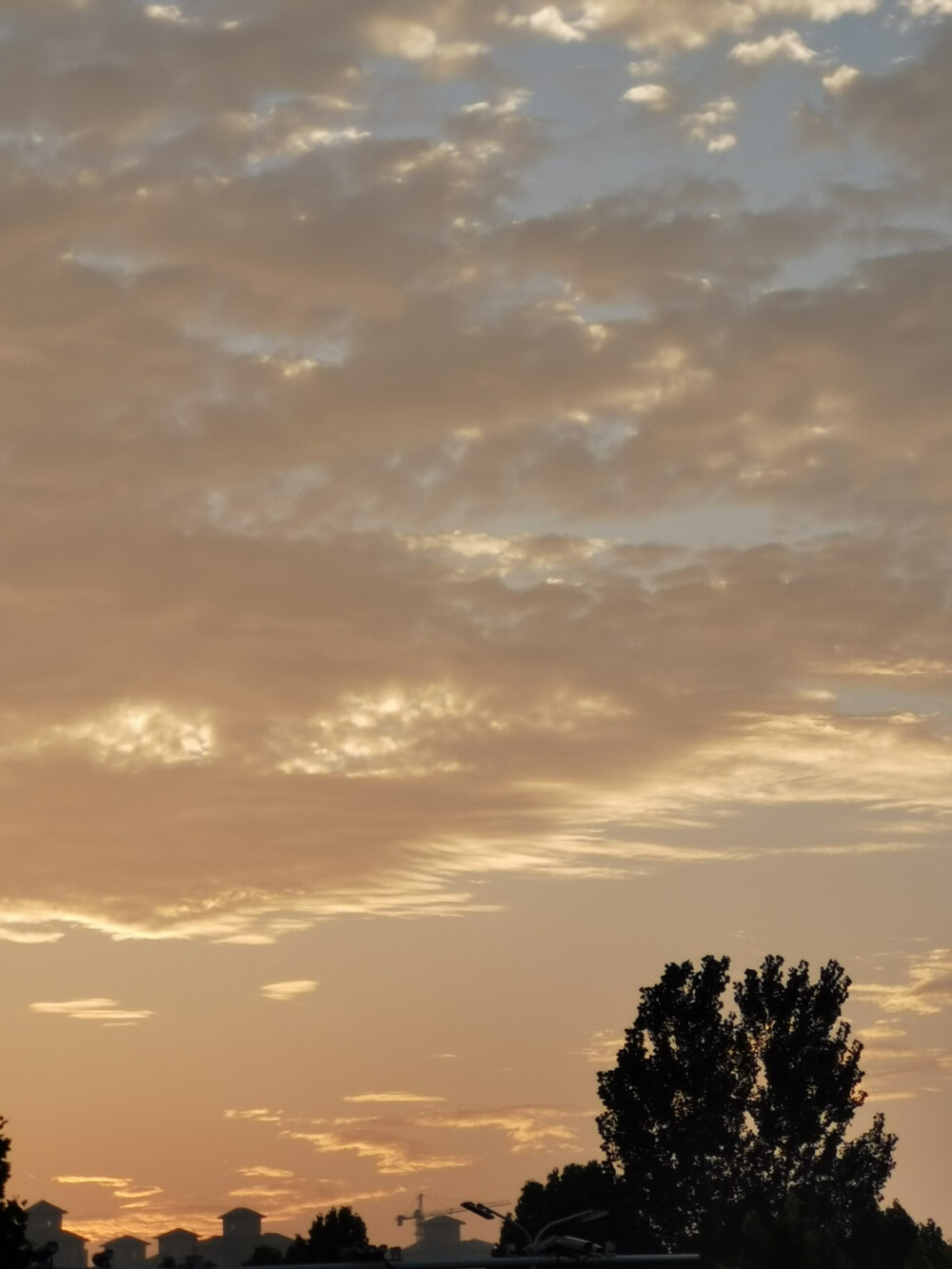 今日捕捉到的美丽夕阳