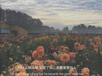 优质背景