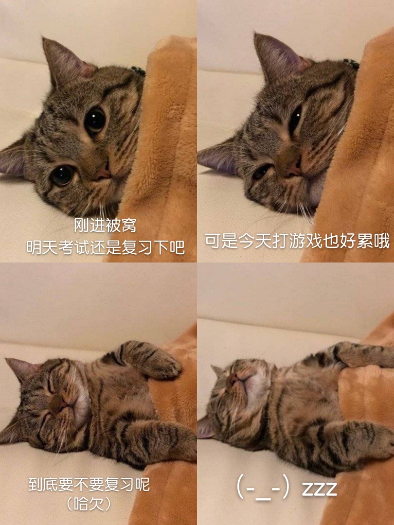 可爱猫咪表情包
（图源微博，表情自制，要拿请评论扣一哦）
么么