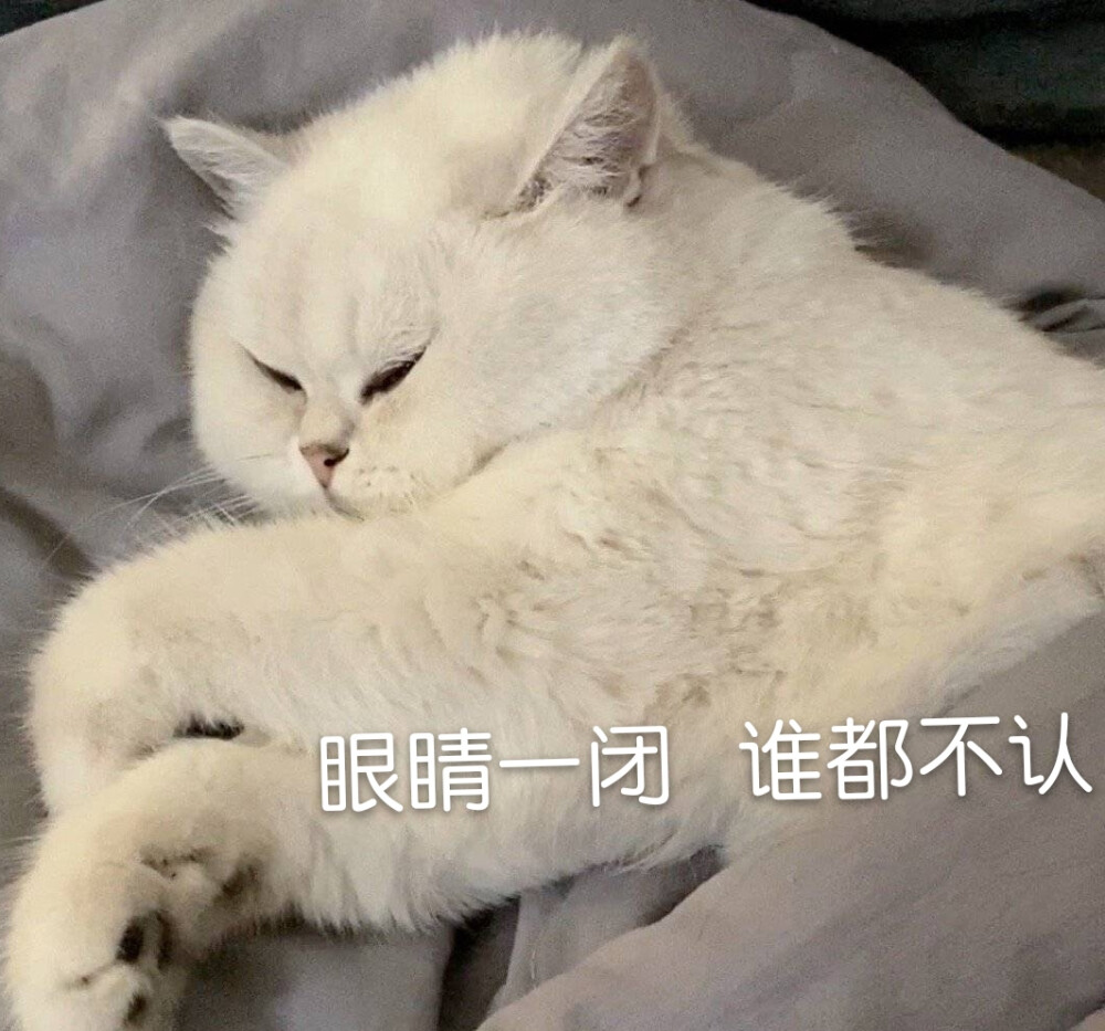 可爱猫咪表情包
（图源微博，表情自制，要拿请评论扣一哦）
么么