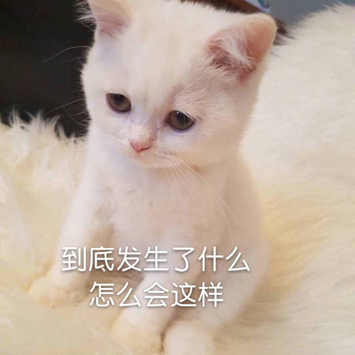 可爱猫咪表情包
（图源微博，表情自制，要拿请评论扣一哦）
么么