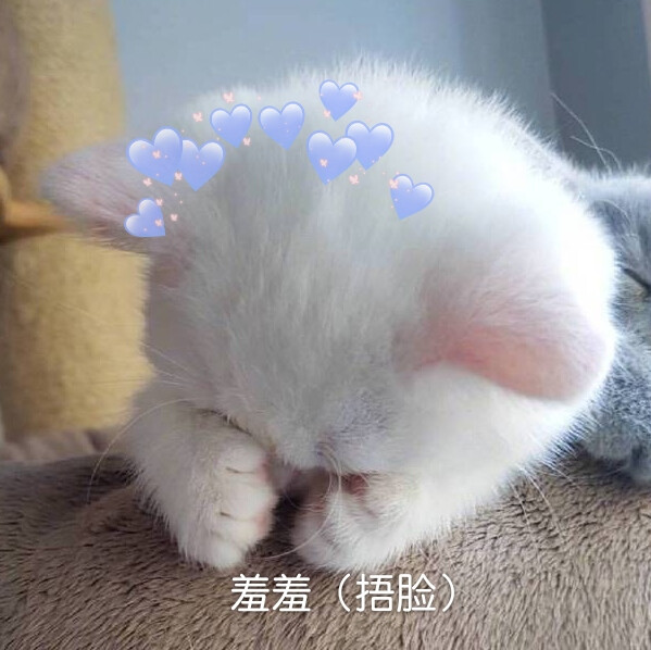 可爱猫咪表情包
（图源微博，自制不易，要拿请评论扣一哦）
么么