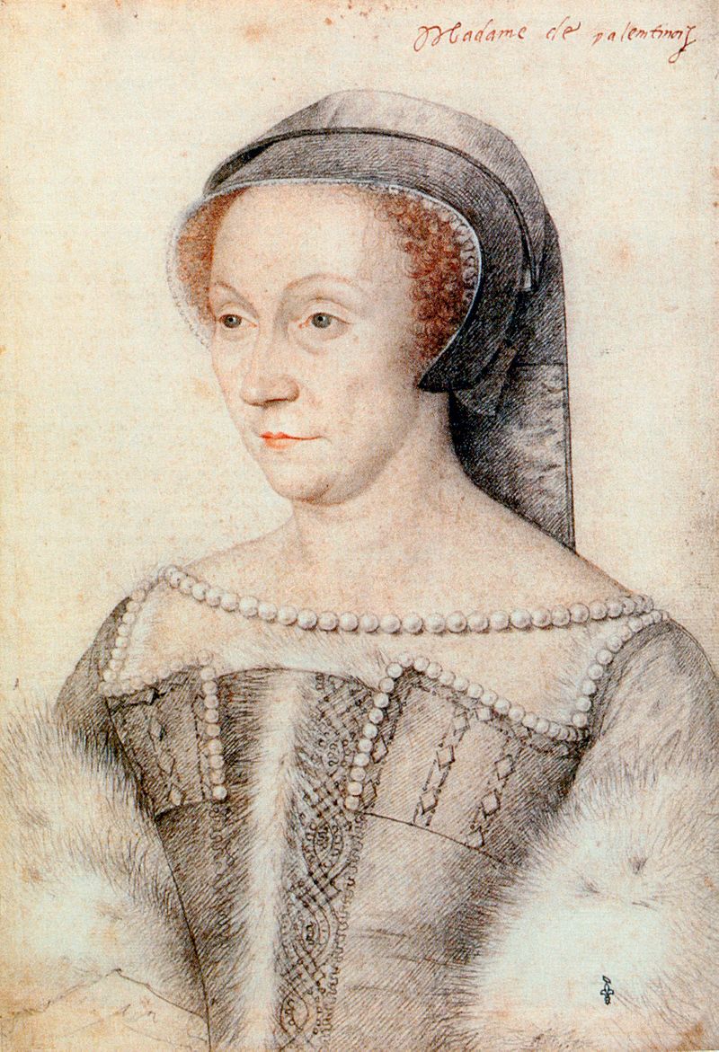 迪亚娜·德·普瓦捷（法语：Diane de Poitiers，1499年9月3日-1566年4月25日）是法王弗朗索瓦一世和其子亨利二世在位期间，一位重要的宫廷贵族女性，后来成为亨利二世的“首席情妇”，更曾公开地和亨利一起行使政治权力，权倾朝野。亨利把华丽的舍农索城堡送给她居住，舍农索被迪亚娜整修的更加富丽堂皇，被誉为“卢瓦河畔的文艺复兴珠宝”。