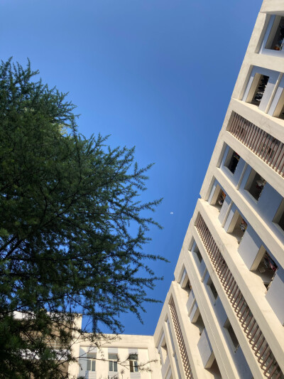 纯原图
