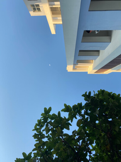 纯原图
