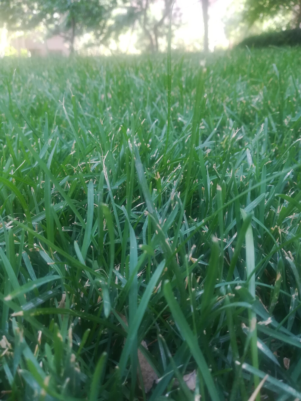 难道只有我喜欢拍这些花花草草吗