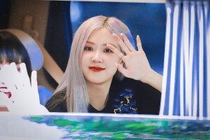 ▷ 朴彩英Rosie

车窗精灵