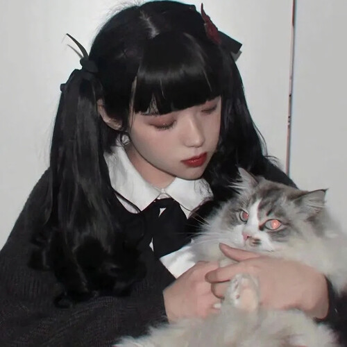 猫咪很可爱_喜欢猫的女孩当然更可爱(๑• . •๑)