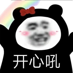 沙雕表情包熊猫头