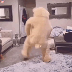 跳舞小熊表情包