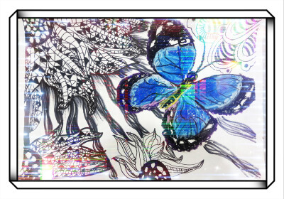 蝴蝶儿童画