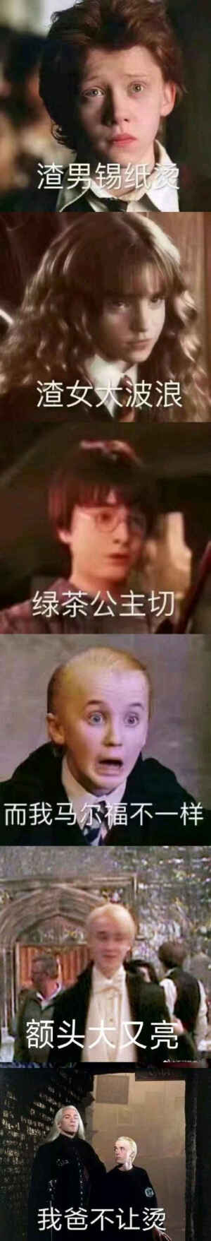 哈哈哈哈笑死我了