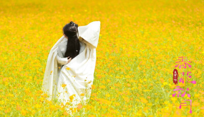 天雷一部之春花秋月