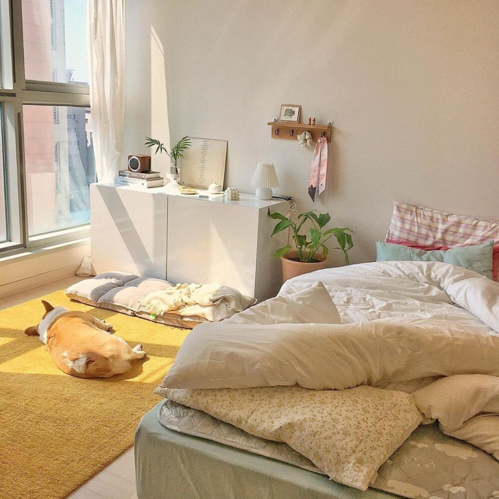 理想中的一人居小窝