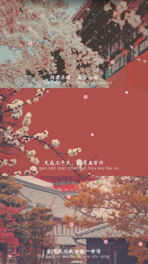 唯美