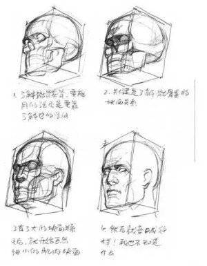 掌握内在人体结构