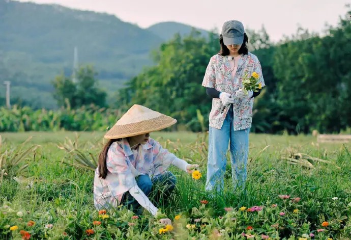 向往的生活