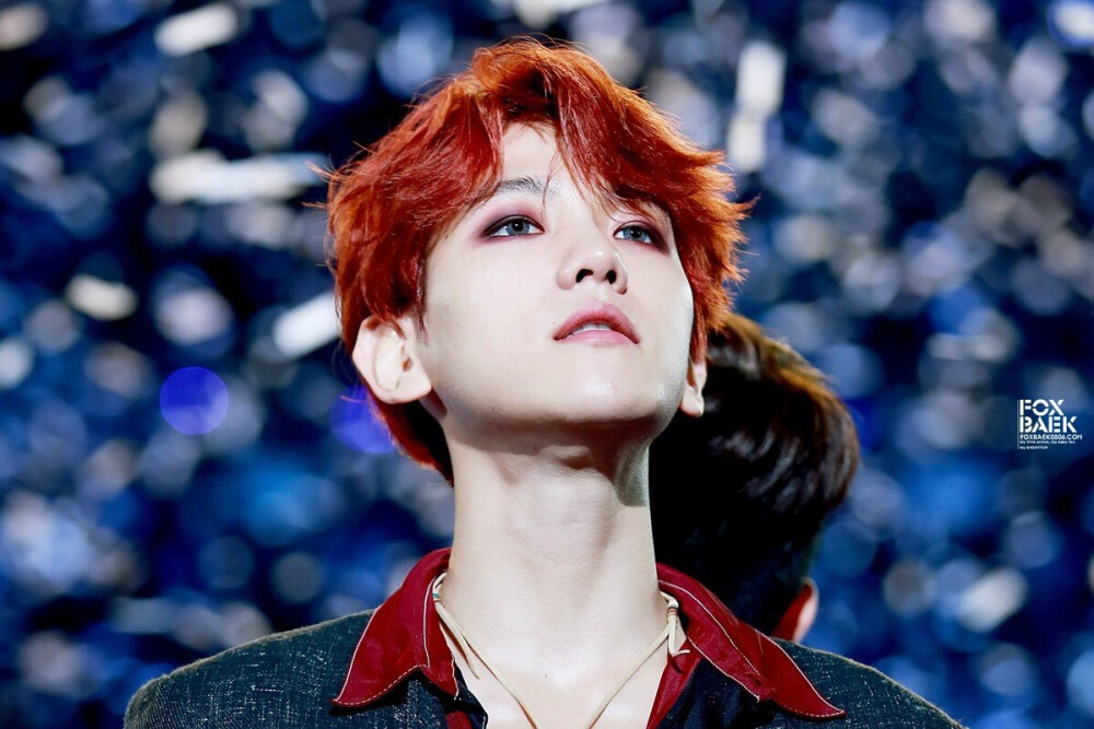 FoxBaek