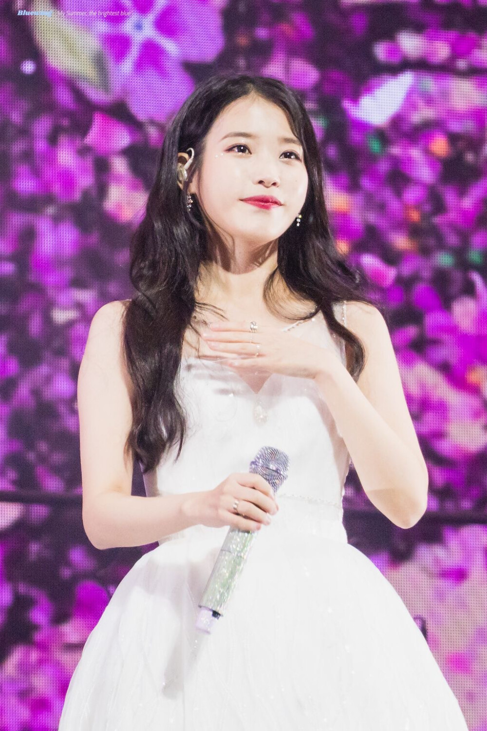 iu_bluewing