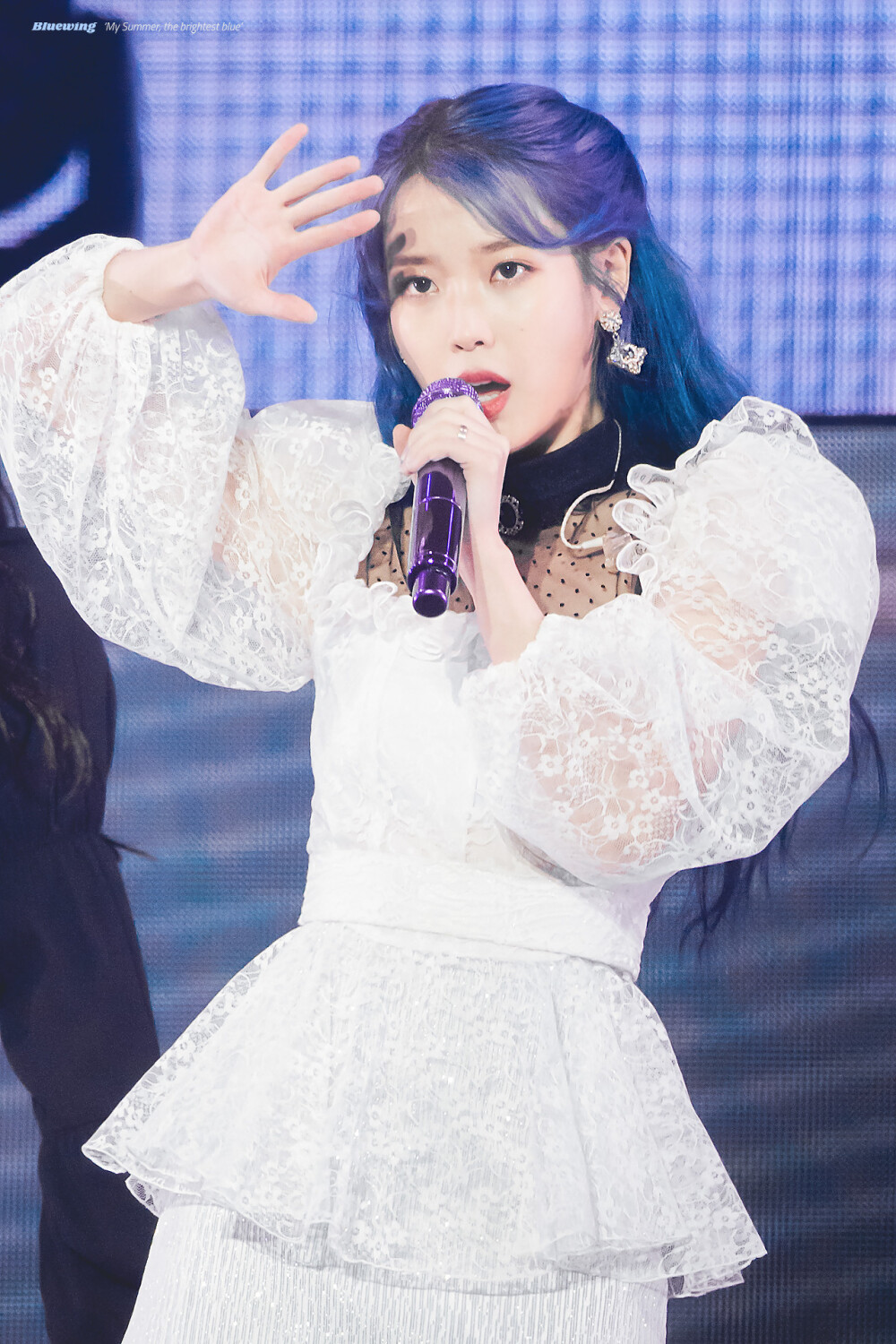 iu_bluewing