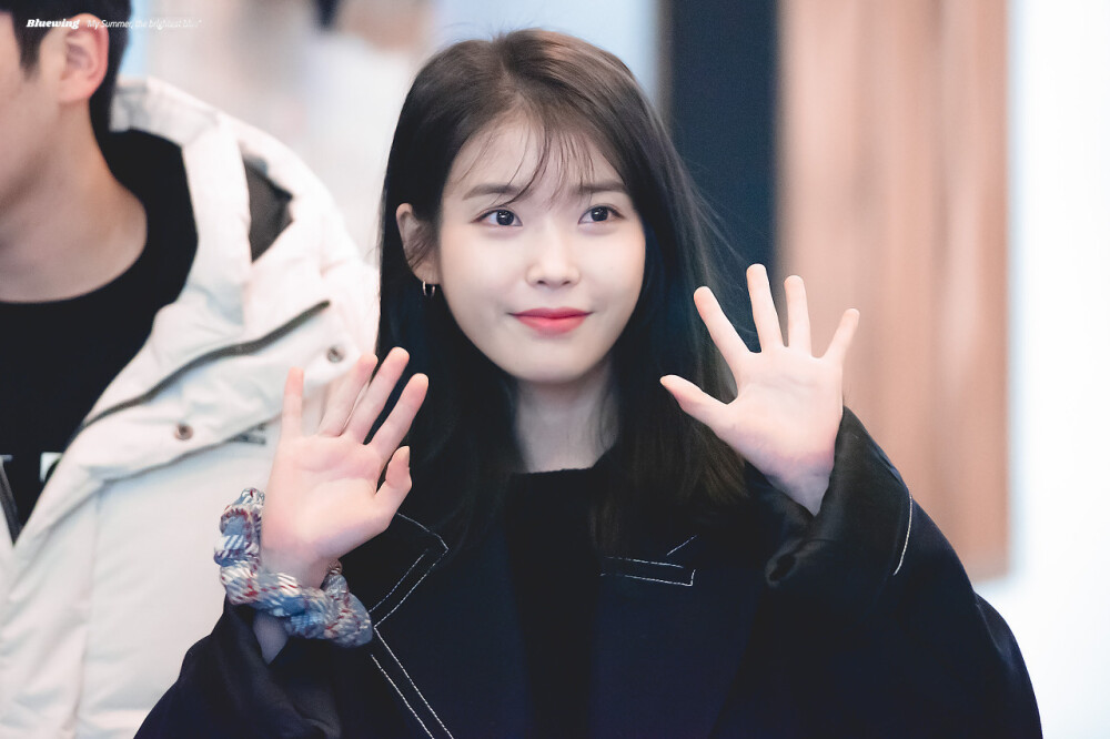 iu_bluewing