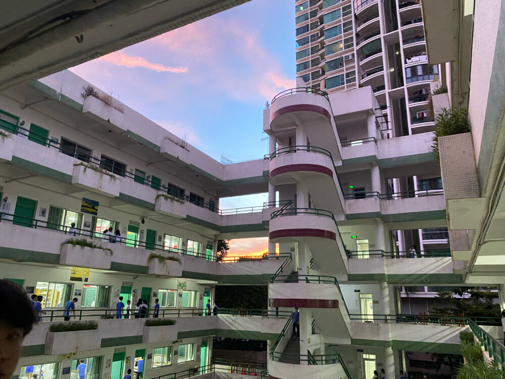 我的