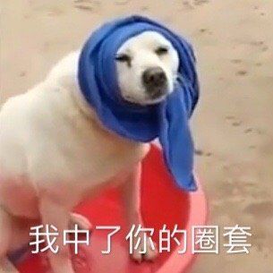 表情包大合集