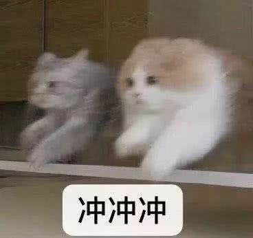 不知道说什么好