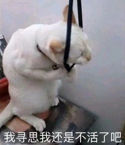 不知道说什么好