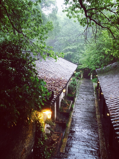 空山新雨后