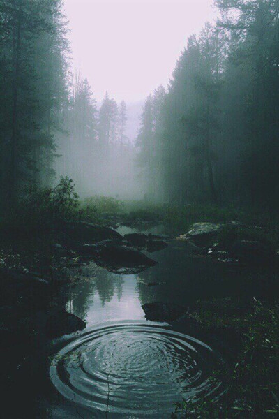 空山新雨后