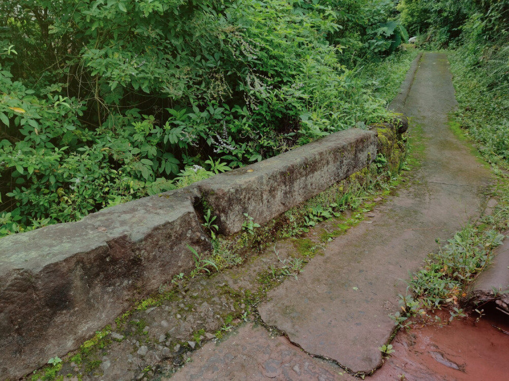 空山新雨后