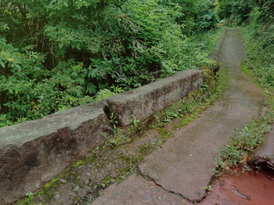 空山新雨后