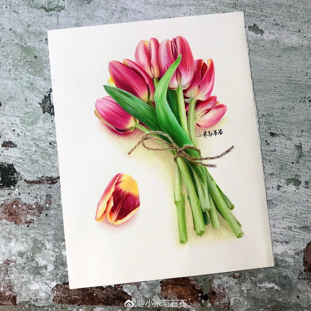 最近很喜欢小米与石石