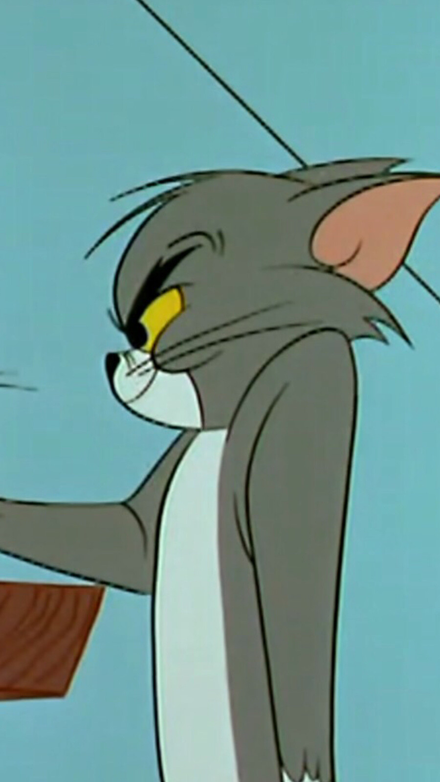 猫和老鼠 tom and jerry 截图做头像备用叭好糊呀