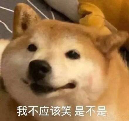 狗狗表情包