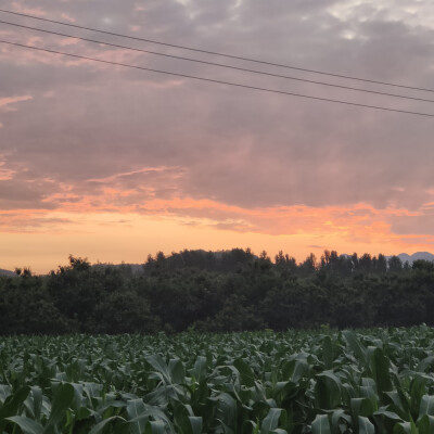 姥家的饭后散步①