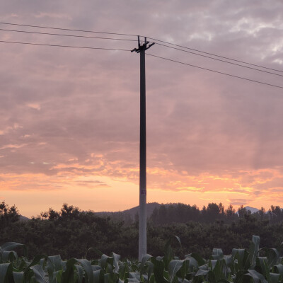 姥家的饭后散步①