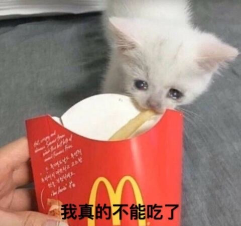 分享一组图～
搜索用：流泪猫猫头/哭泣猫猫/crying cat/哭哭猫/猫咪/表情包